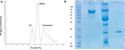 Lactosmart: A Novel Therapeutic Molecule for Antimicrobial Defense